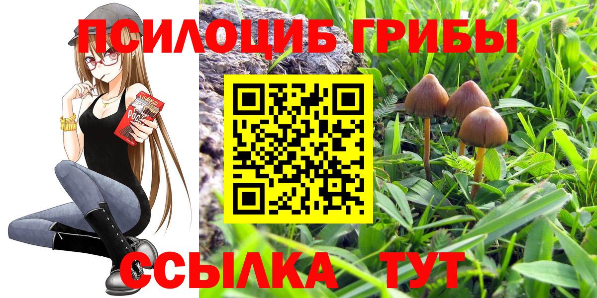 Галлюциногенные грибы ЛСД  закладки  Вход с VPN  Майский  Псилоцибиновые грибы Psilocybine cubensis 